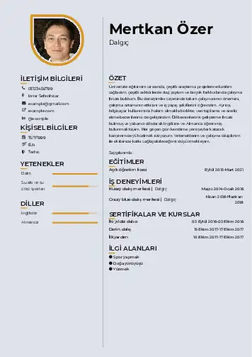 Dalgıç CV Örnekleri cv indir